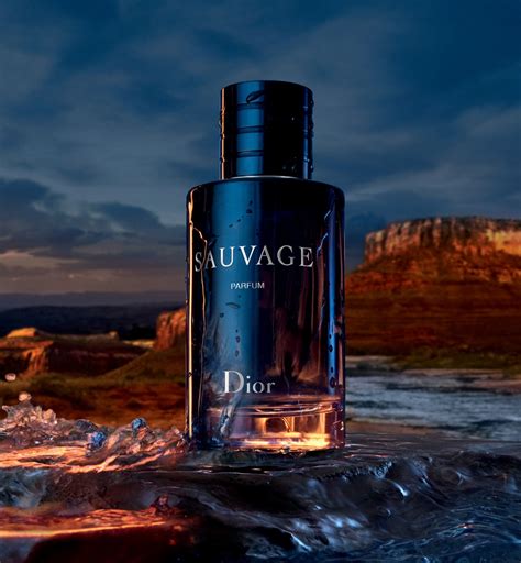 dior sauvage parfum india|dior sauvage cheapest price.